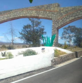 Roban diosa del maguey en Atlangatepec